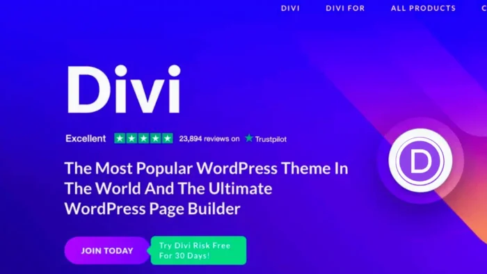 Divi Theme Lifetime - Image 1