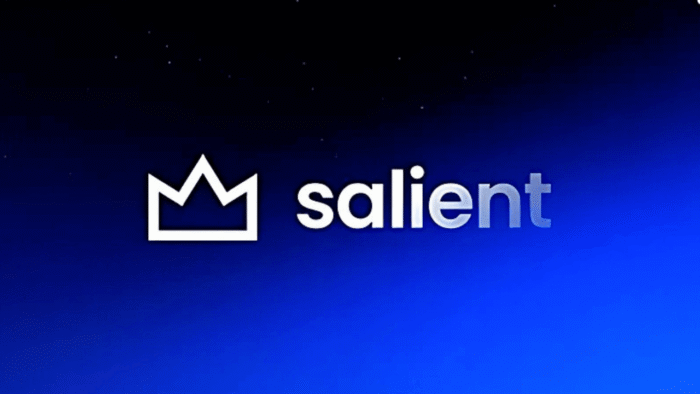 Salient Theme Lifetime - Image 1